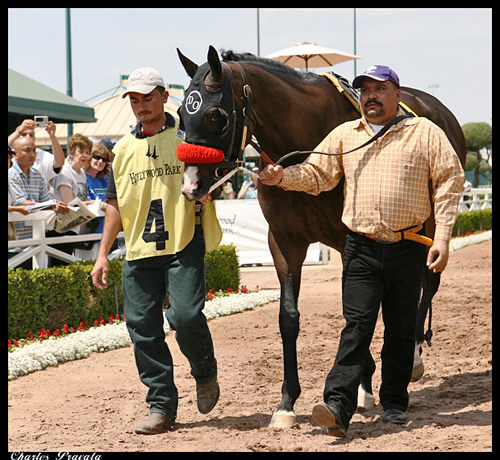 Lava Man & Noe Garcia